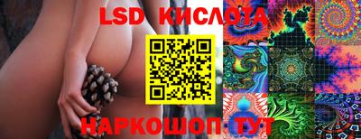 эйфоретик Камышлов